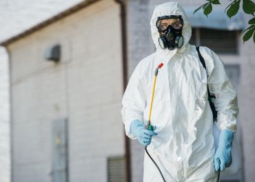 Eliminação de pragas